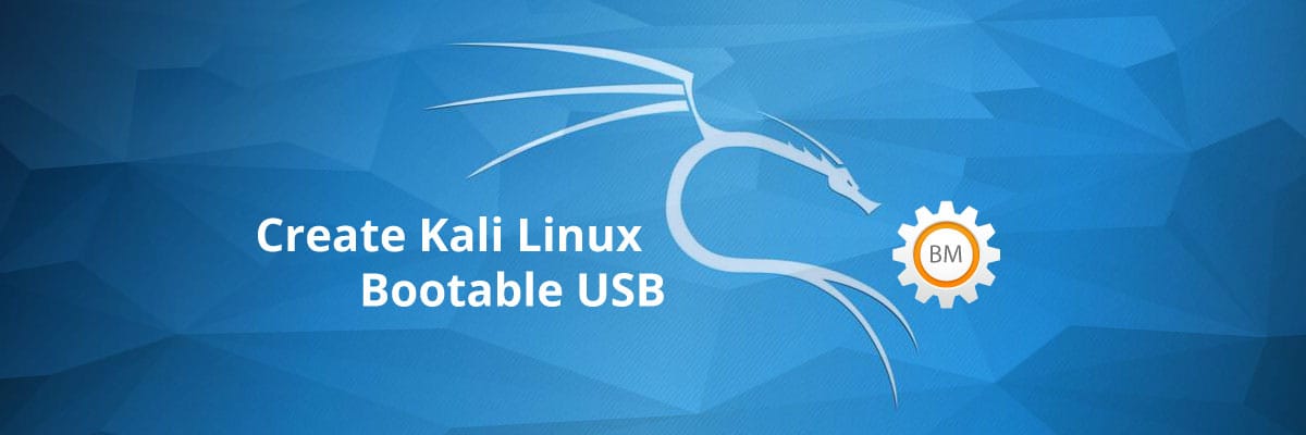 install kali linux usb drive